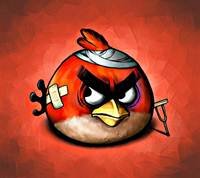 pic for Angry Bird hd 1080x960